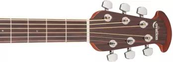 Celebrity Standard Plus Mid Depth Acoustic/Electric - Nutmeg Burled Maple